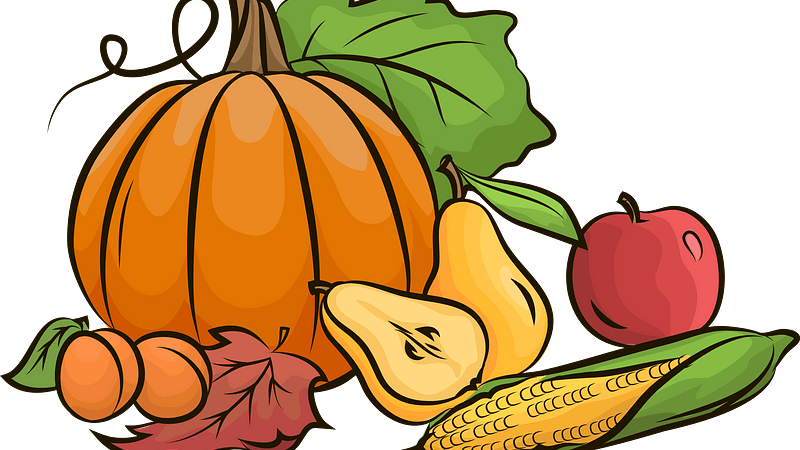 image_processing20200910-13093-v01ww0